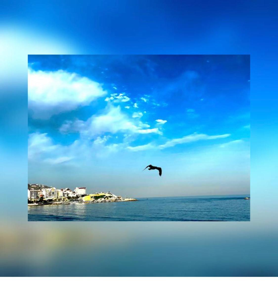 Apartamento Frente Al Mar Benidorm Exteriör bild
